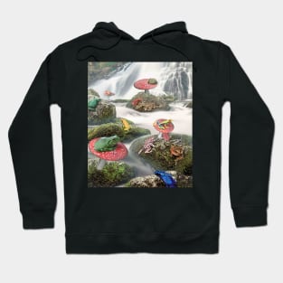 Frog Frogs Sitting On Mushroom Toadstool In Forest River Hoodie